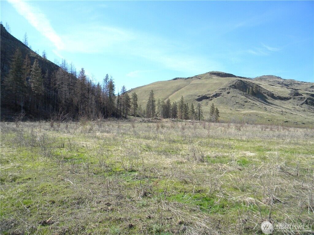 Property Photo:  5  Hunter Mountain Road  WA 98846 