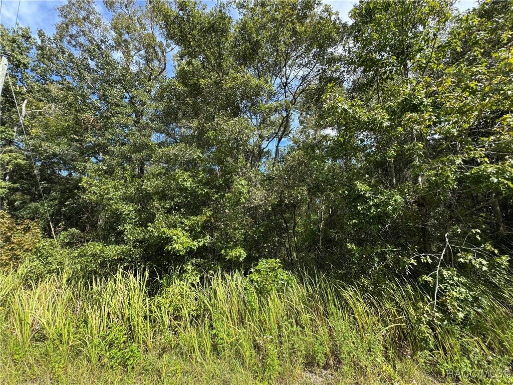 Property Photo:  0 Rosy Gull Avenue  FL 34614 
