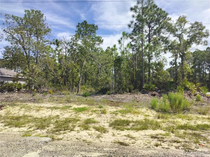 Property Photo: 6665 N Darlington Drive FL 34434