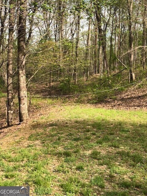 Property Photo:  Lt 17B Lakeland Drive  GA 30540 