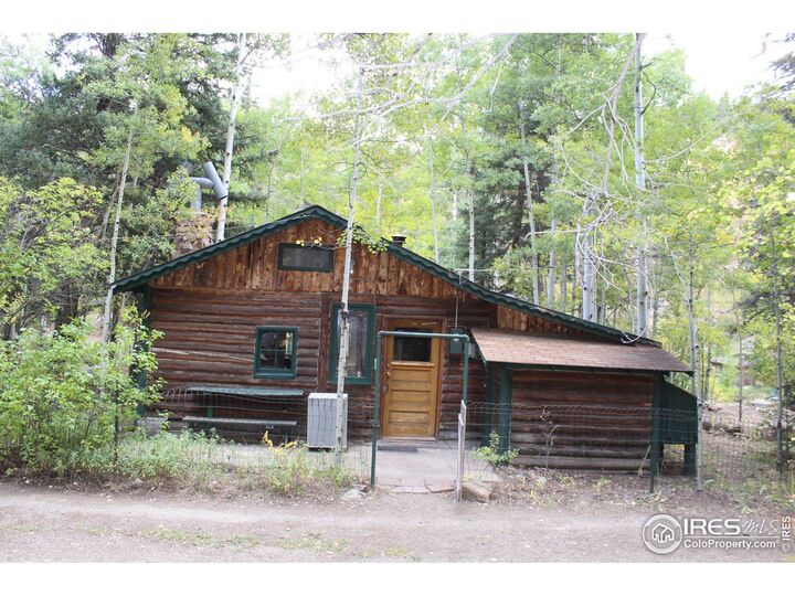 Property Photo:  223 Riverside Dr  CO 80540 