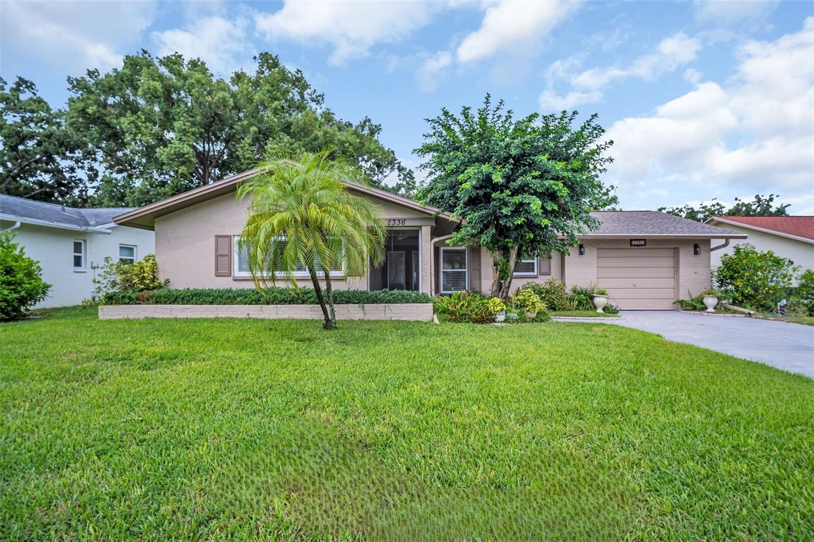 Property Photo: 2336 Malcolm Drive FL 34684