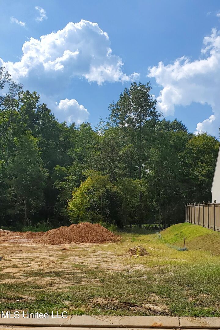 Property Photo: 115 Commonwealth Drive MS 39110