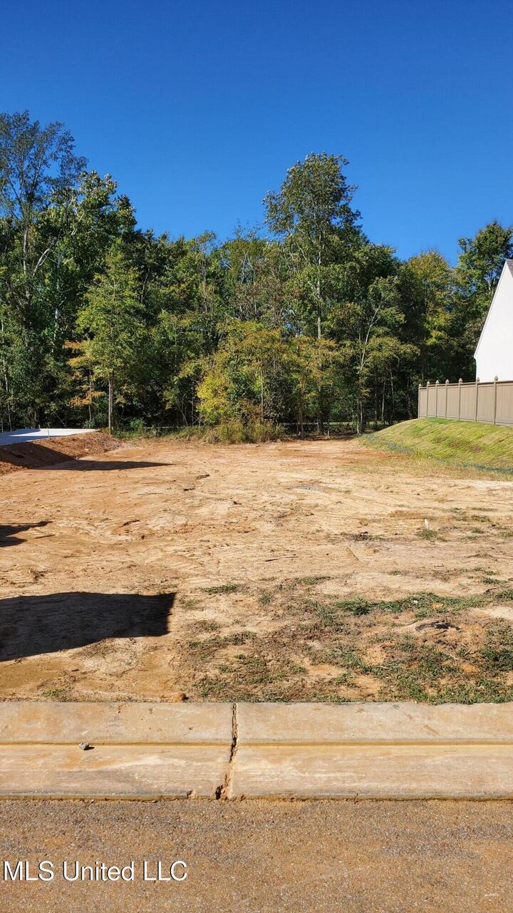 Property Photo:  115 Commonwealth Drive  MS 39110