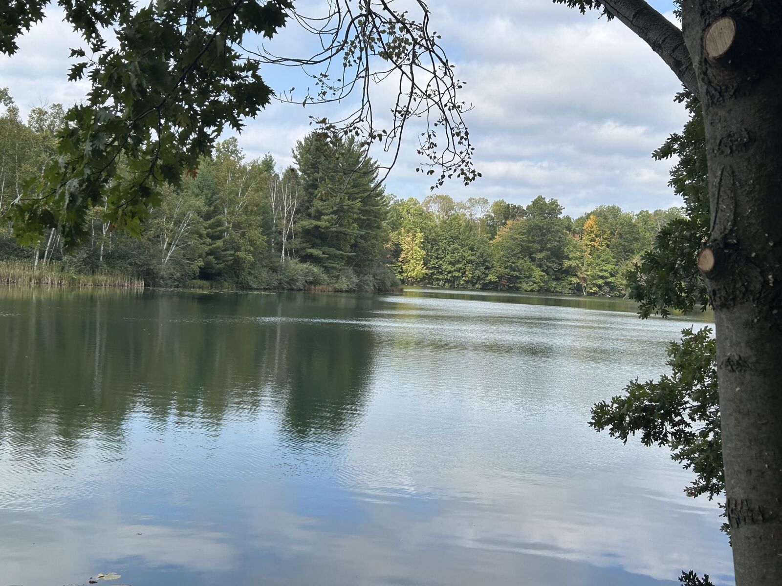 Property Photo: 8601 N. Island Drive MI 49346