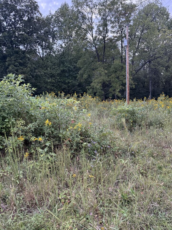 Property Photo: 0 N College St TN 37150