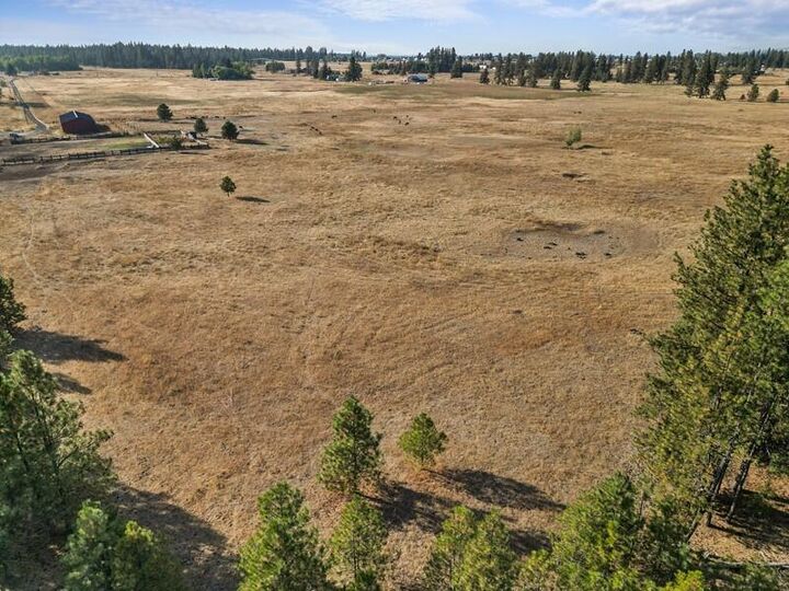 Property Photo:  7217 S Spotted Rd  WA 99004 