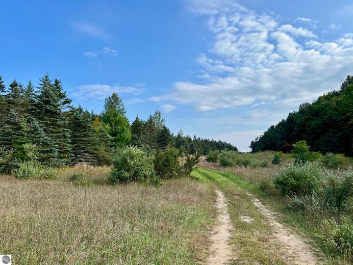 Property Photo: 00 Skinner Road MI 49729