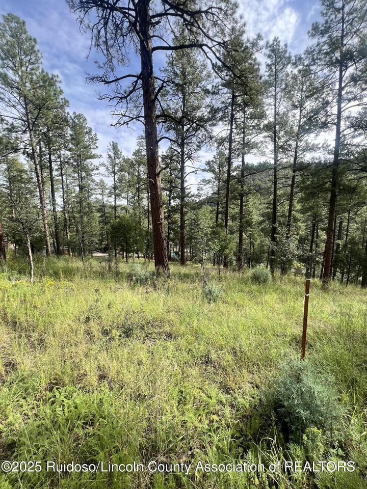Property Photo:  106 Twin Mountain Road  NM 88345 