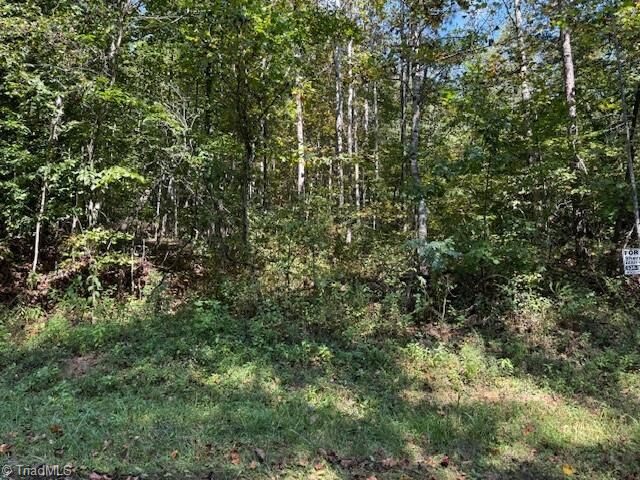 Property Photo:  2 Arlie Myers Store Road  NC 28649 