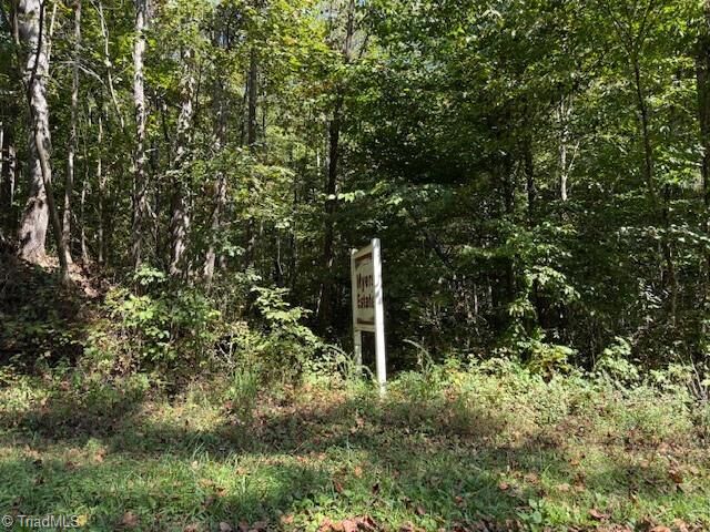 Property Photo: 3 Arlie Myers Store Road NC 28649