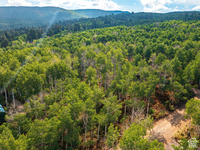 Property Photo:  2919 Green Briar Way 543  UT 84032 