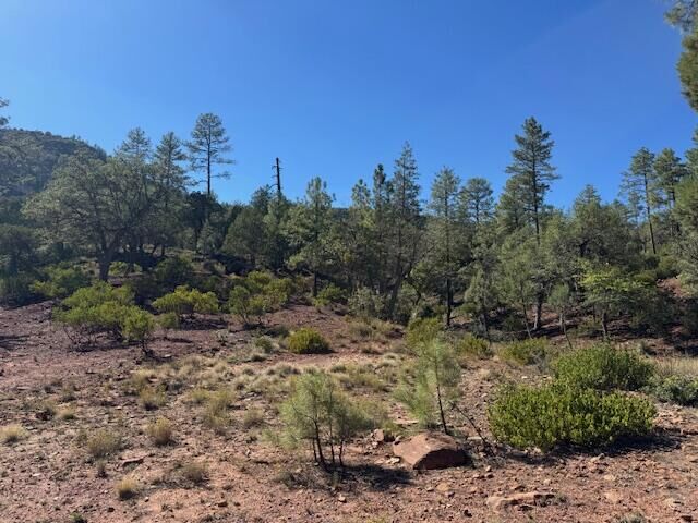 Property Photo: Lot 33 W Sage Court AZ 85544