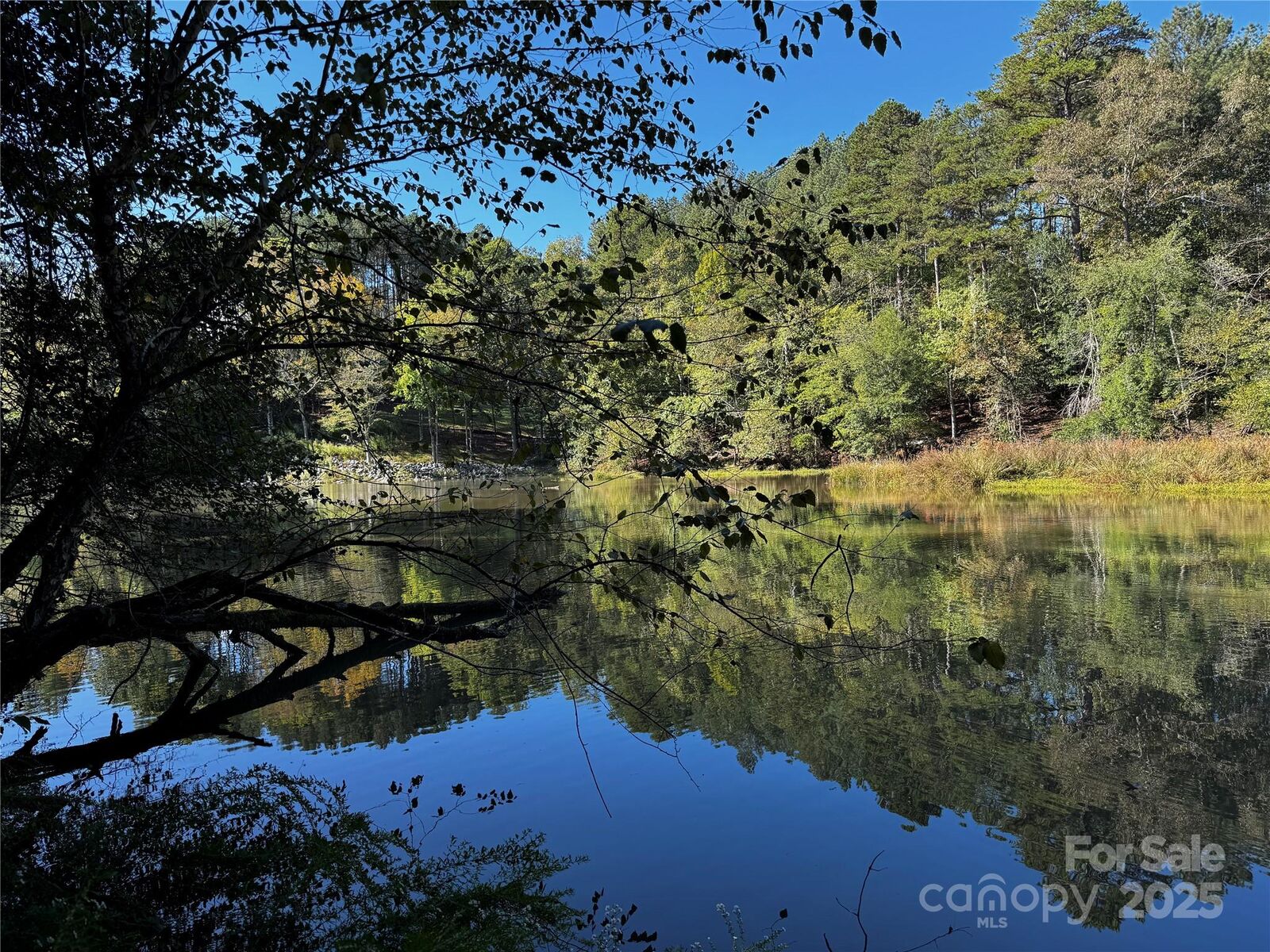 Property Photo:  00 Hayes Mill Road A-1  NC 28630 
