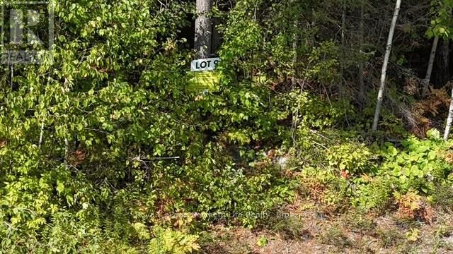 Property Photo:  Lot 9 Fox Run Drive  ON P0H 2H0 