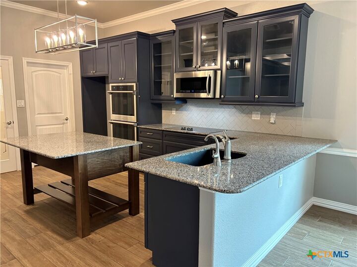 Property Photo:  8381 Goliath Drive  TX 76513