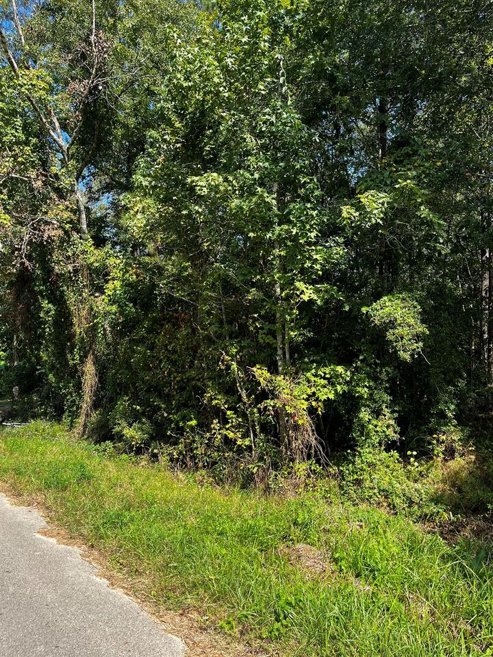 Property Photo: 106 Indian Creek Circle TX 77378