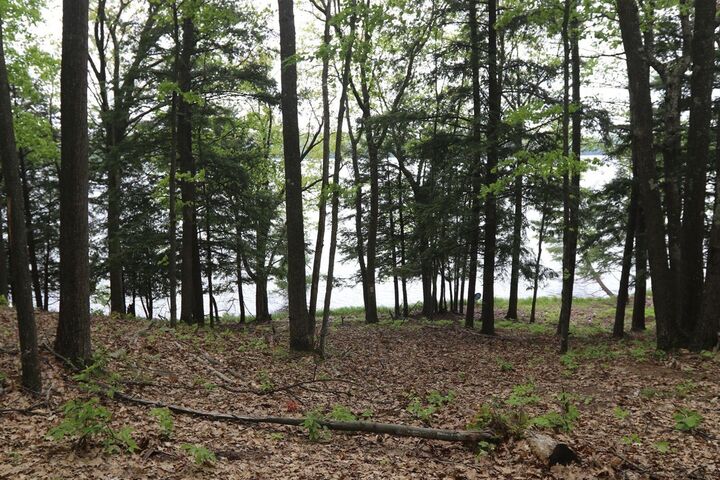 Property Photo: V/L Woods Rd MI 49615