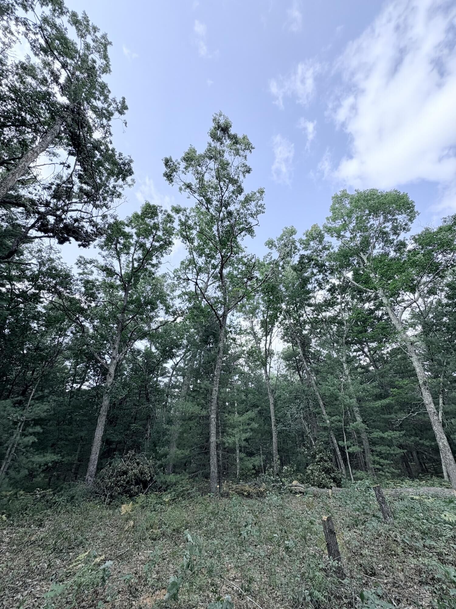 Property Photo: 0 S Shady Grove Drive MI 49304