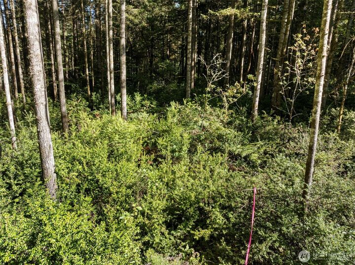 Property Photo: 20 Webb Road SW WA 98349