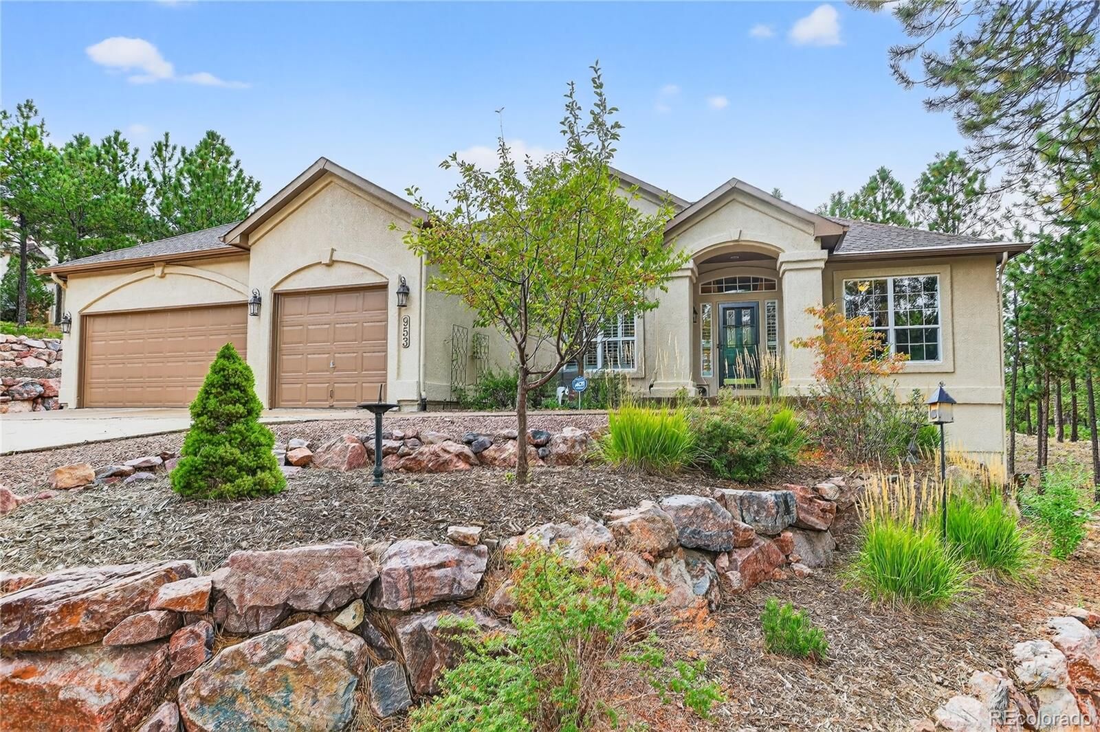 Property Photo:  953 Pinenut Court  CO 80921 