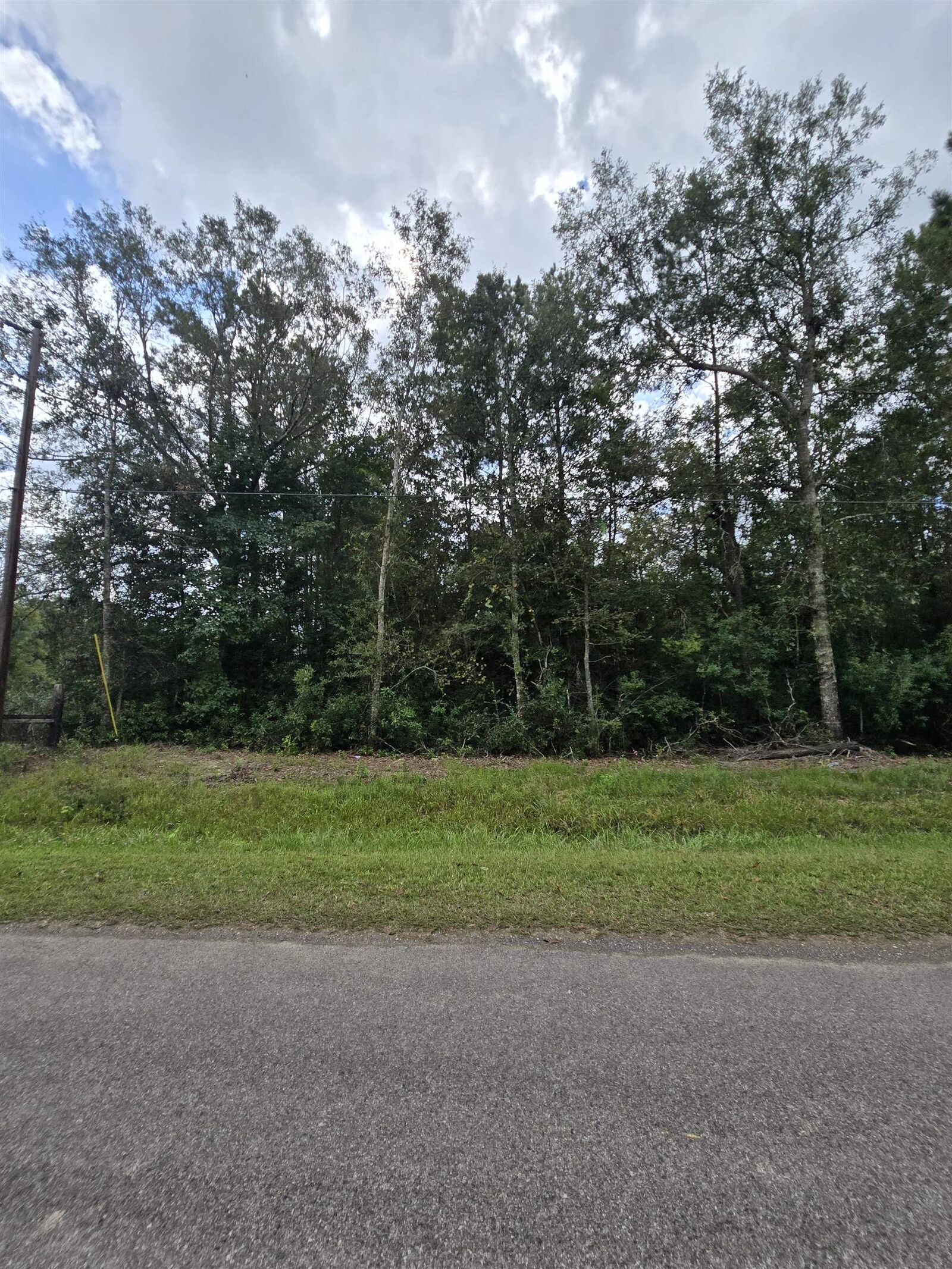 Property Photo: 00 Tbd Whitetail Forest Rd TX 77625