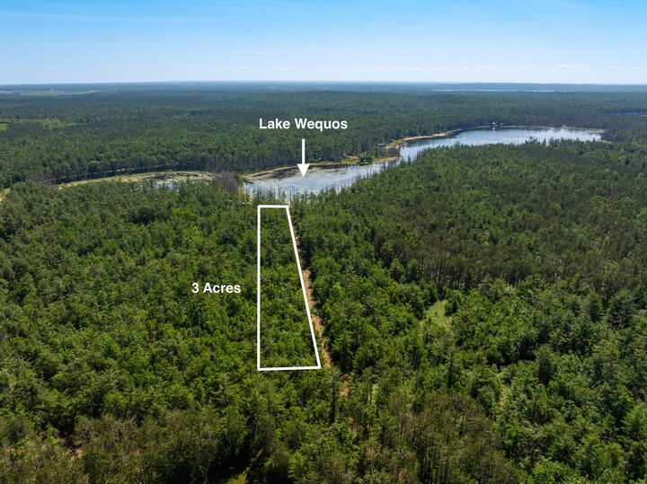Property Photo: Lot 25 Carothers Drive MI 49735