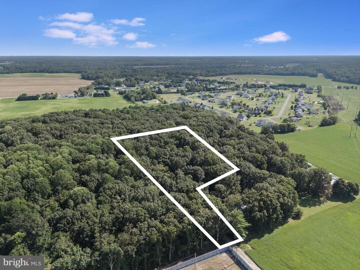 Property Photo:  Lot 1 Watson Drive  DE 19963 