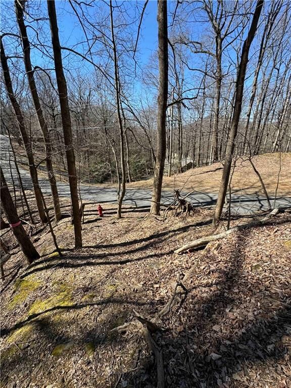 Property Photo: 3366 Crippled Oak Trail GA 30143