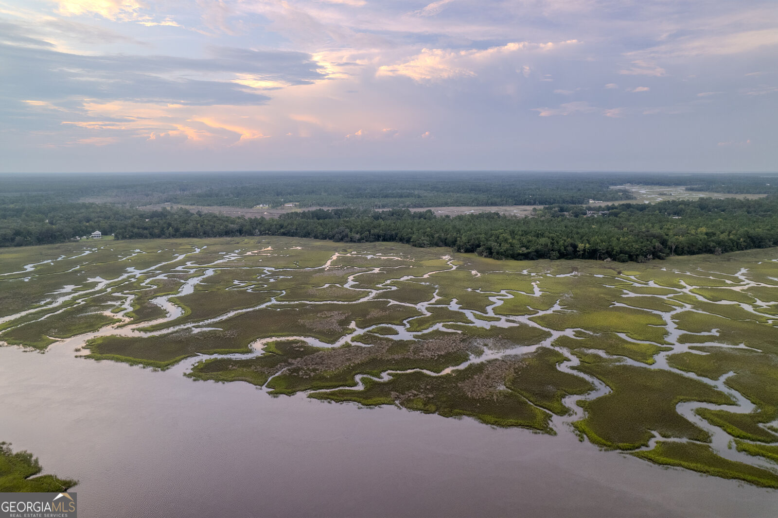 Property Photo:  0 Sheffield Island Road 6  GA 31569 