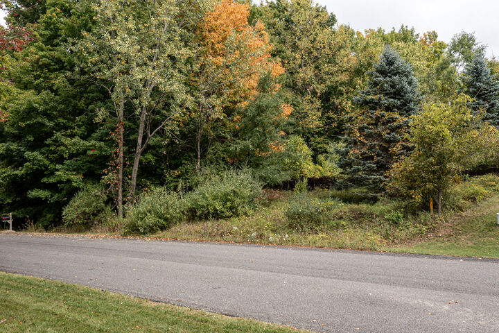 Property Photo: Lot #7 N Hill N Dale MI 49420