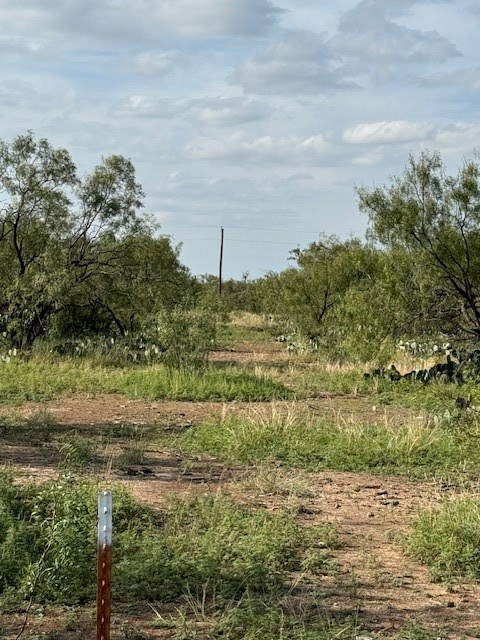 Property Photo: 9526 Iron Spoke Trail TX 76934