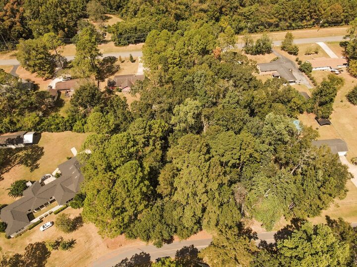 Property Photo:  115 Owl Hollow  GA 31757 