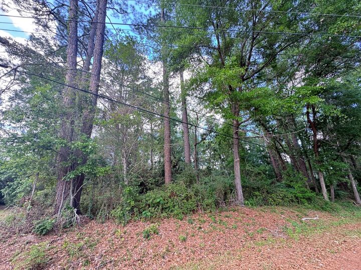 Property Photo:  115 Owl Hollow  GA 31757 