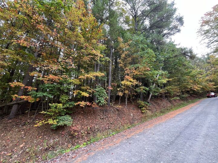 Property Photo: 0 Middle Road NY 13827