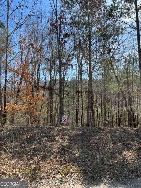 Property Photo:  Lt 3 Hunter Ridge  GA 30540 