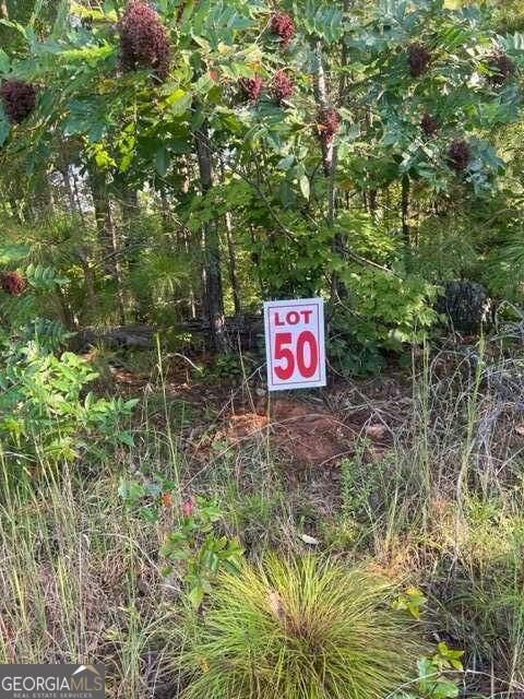 Property Photo: Lt 50 White Pine Ridge GA 30540
