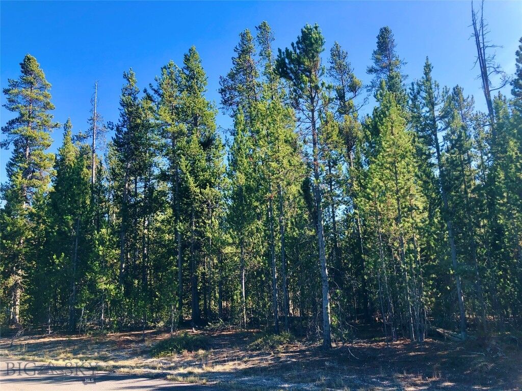 Property Photo: Nnn Cascade Avenue MT 59758