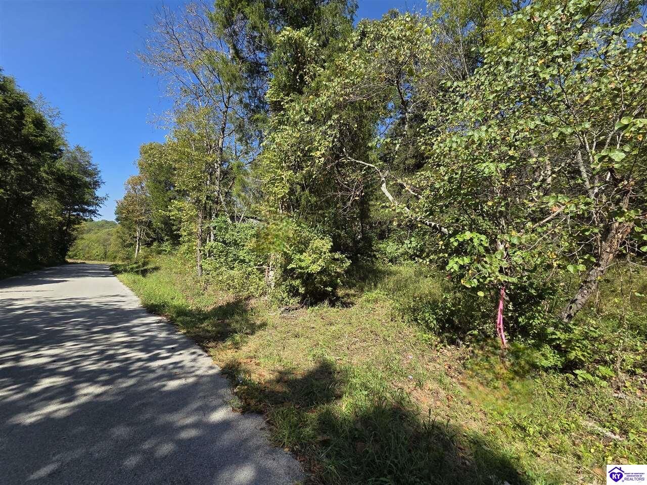 Property Photo:  2728 Constantine Road  KY 42724 