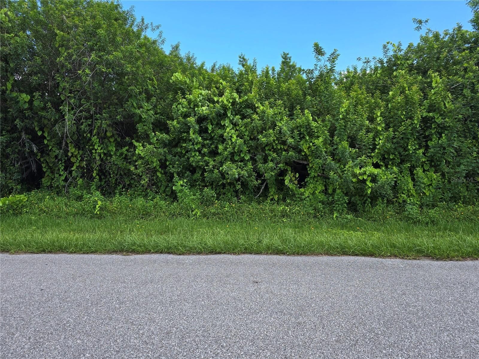 Property Photo: 167 Lenoir Street NW FL 33948