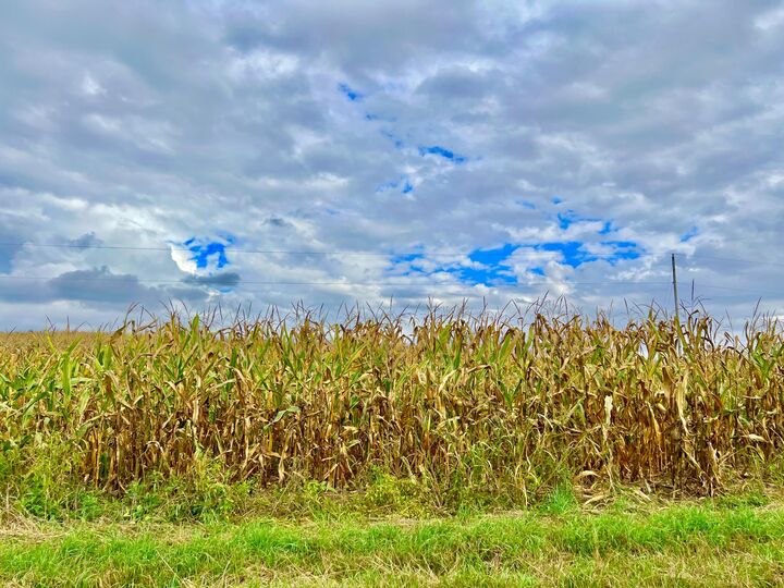 0 Crampton Road  Hillsdale MI 49242 photo