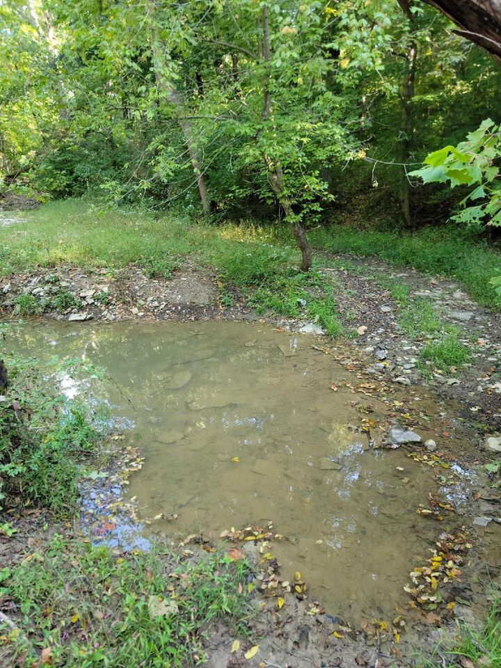 15711 Pfanstiehl Road  Demossville KY 41033 photo