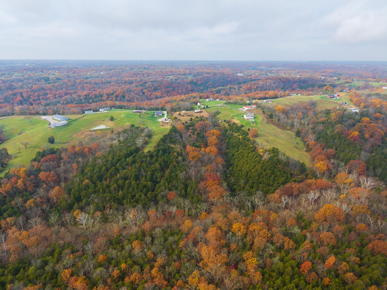 Property Photo:  15711 Pfanstiehl Road  KY 41033 