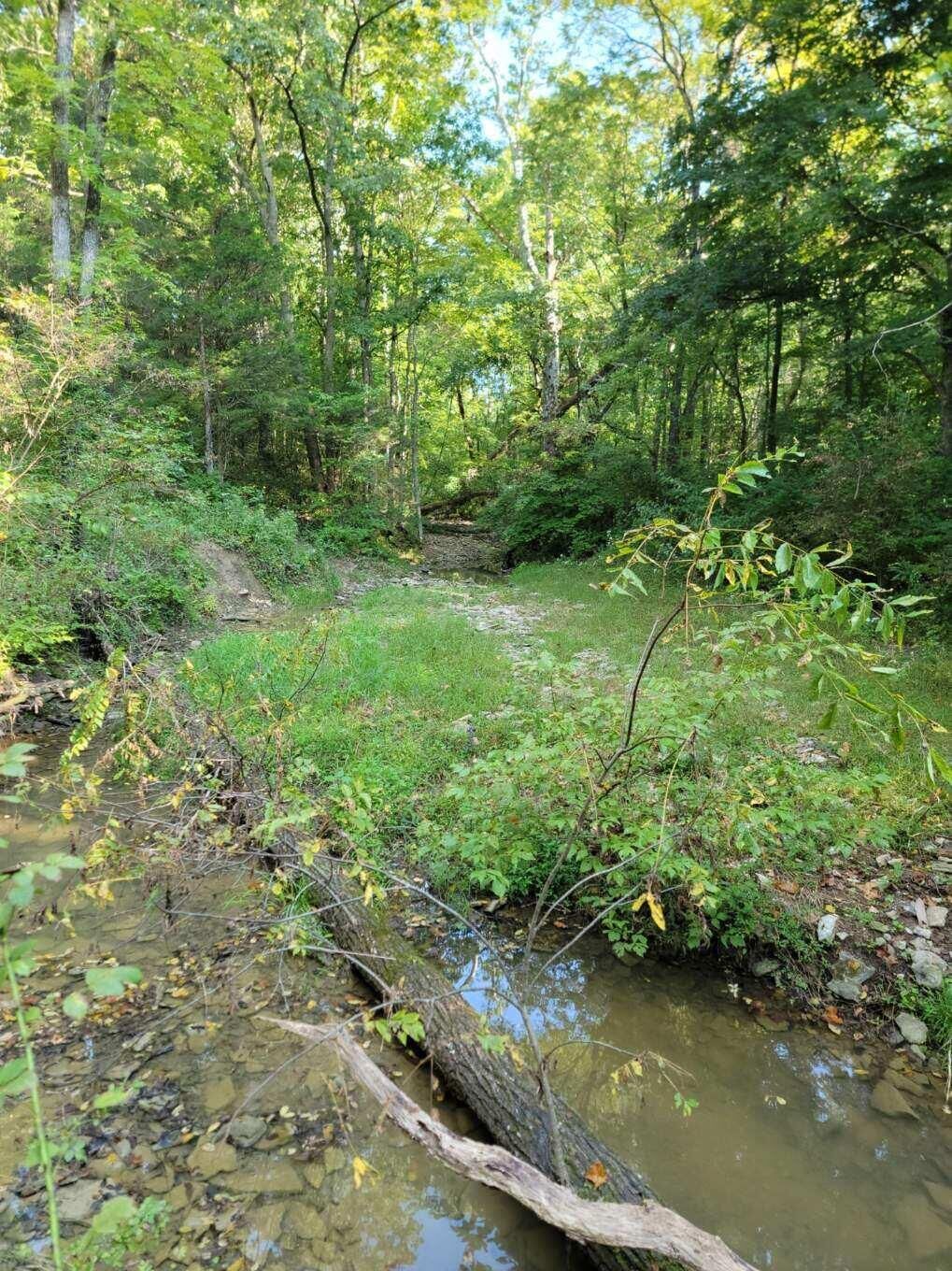 Property Photo: 15711 Pfanstiehl Road KY 41033