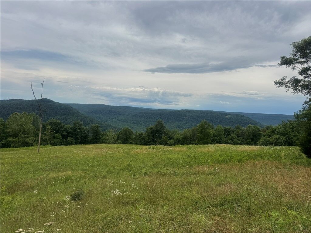 Property Photo:  Tbd Nc 8500  AR 72628 