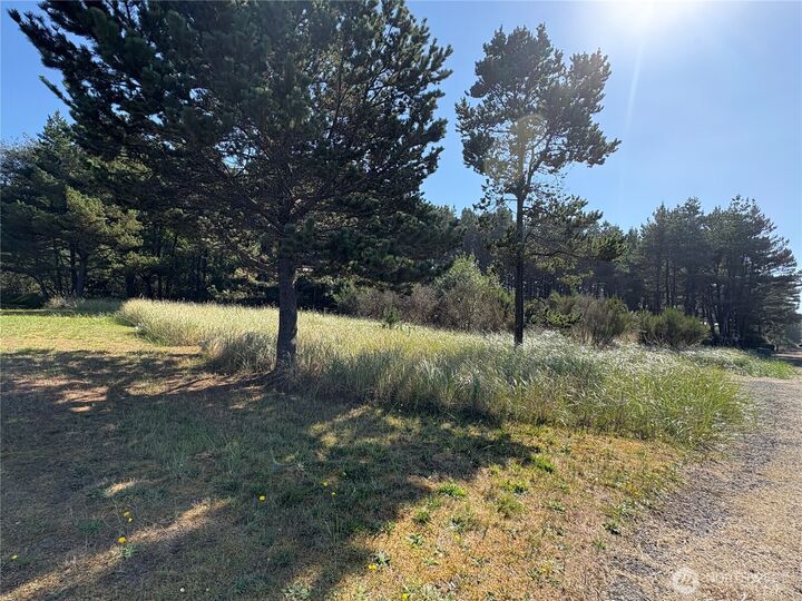 Property Photo:  29908  H Street  WA 98640 