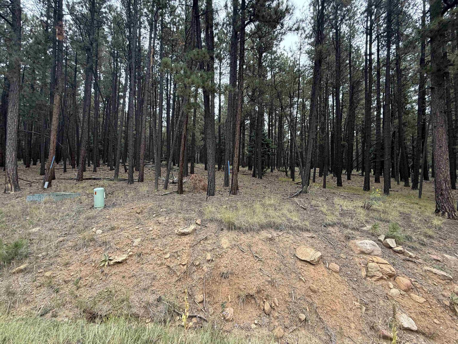 Property Photo:  Lot 115 San Juan Dr  NM 87710 