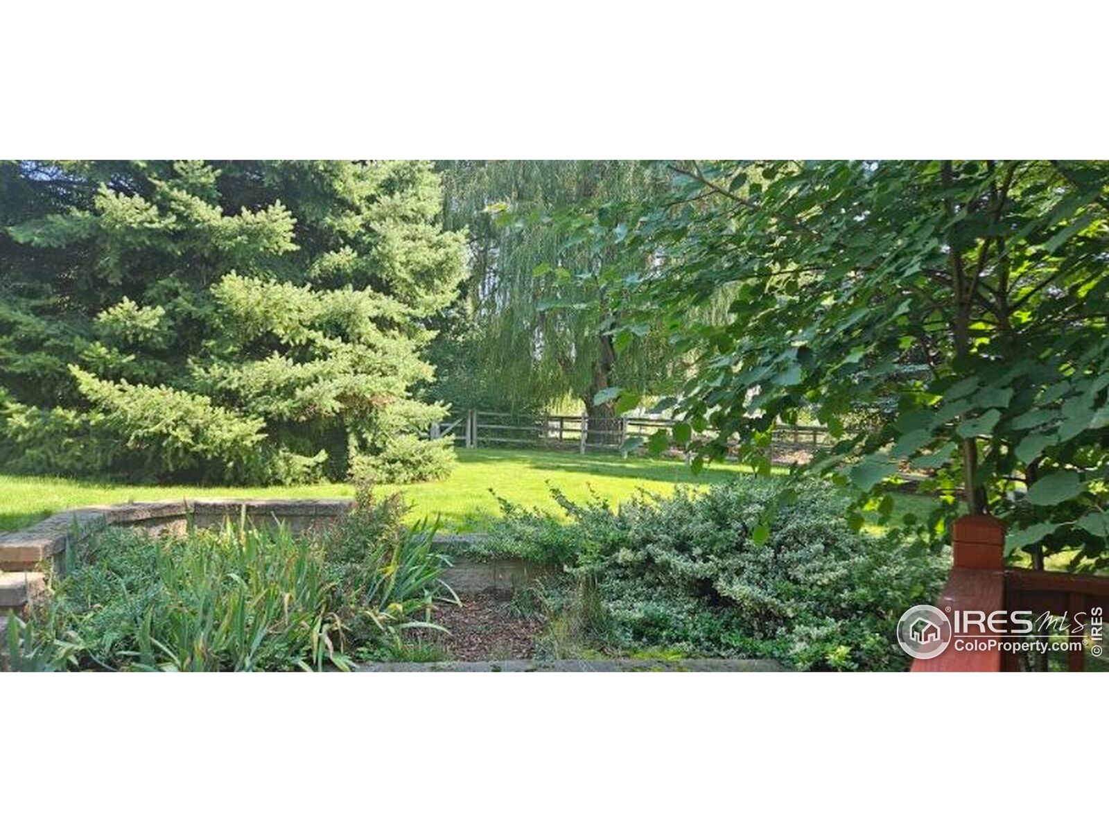 Property Photo:  608 Langdale Dr  CO 80526 