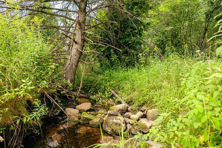 Property Photo:  00 E Birch Point Road  MI 49684 