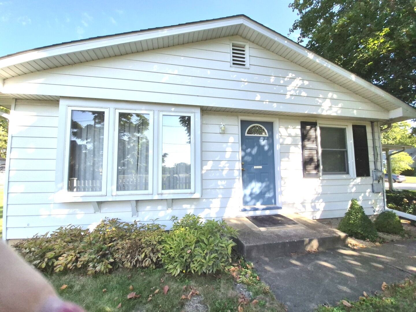 Property Photo: 131 E Jackson Street IL 60543